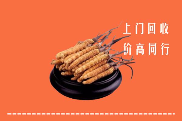 高价求购：东西湖区回收散虫草
