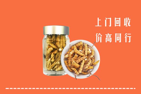 收购行情：东西湖区回收冬虫夏草